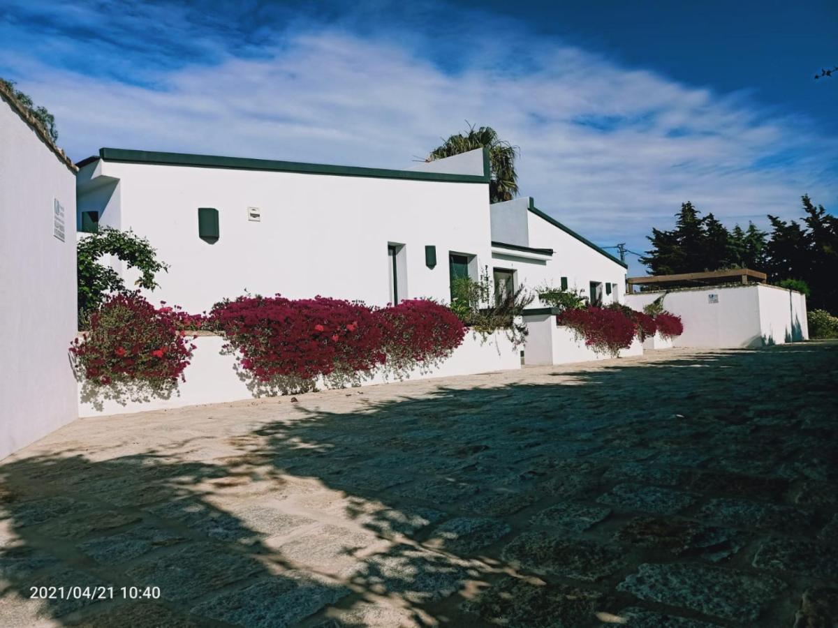 Casa La Palmera - Solo Familias Y Parejas Кониль-де-ла-Фронтера Экстерьер фото